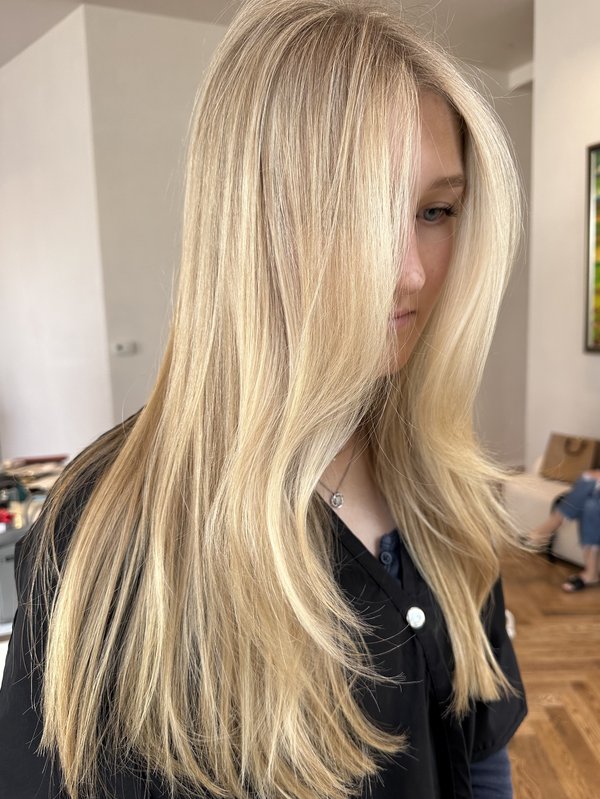 Hair Color Transformation - Houston