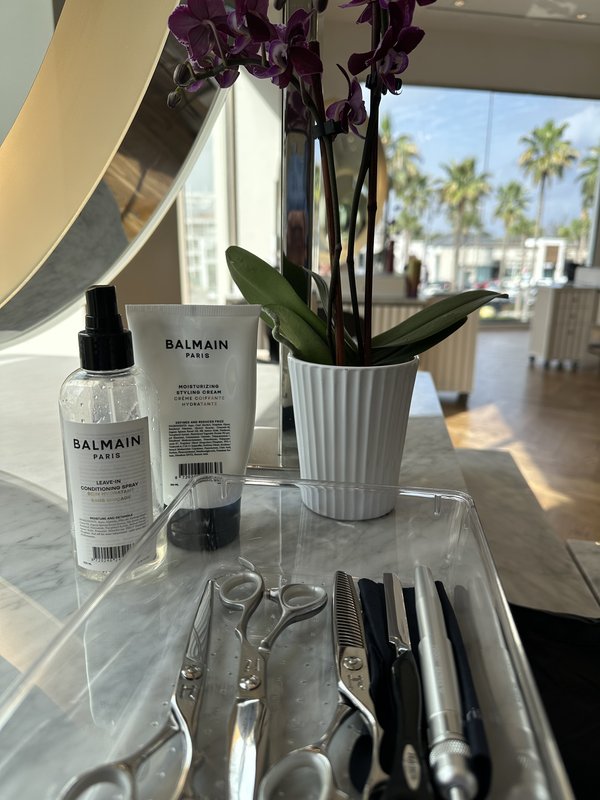 Balayage Technique - Sun-Kissed Look